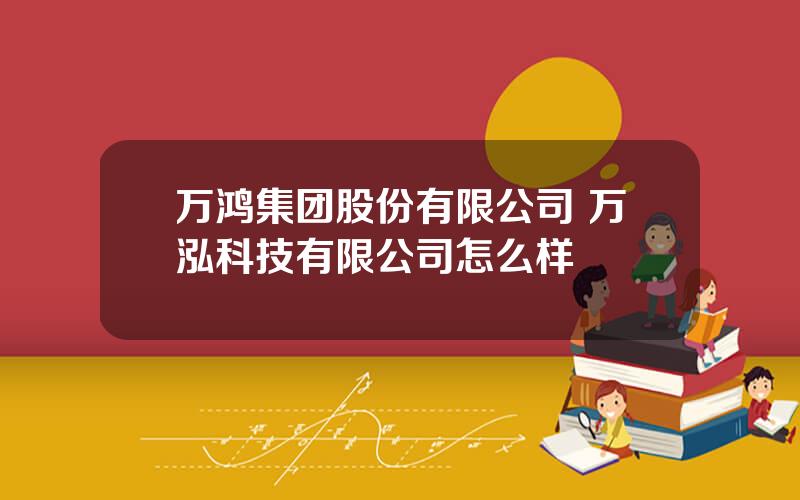 万鸿集团股份有限公司 万泓科技有限公司怎么样